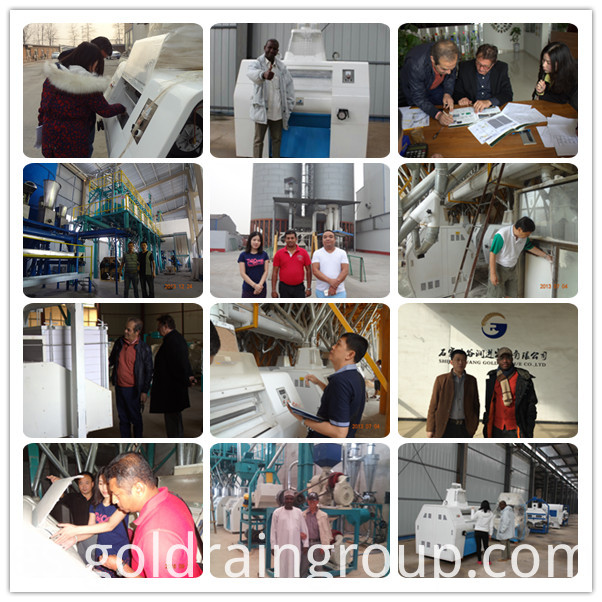 Fresadoras-Máquinas Flour-Milling-Machine